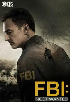 联邦调查局:通缉要犯第一季